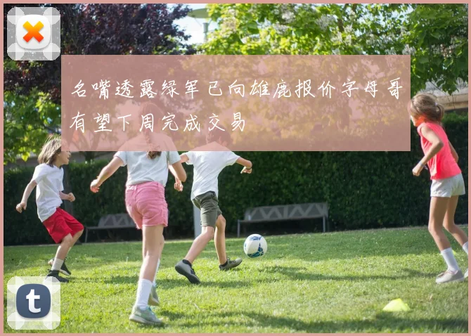 名嘴透露绿军已向雄鹿报价字母哥有望下周完成交易