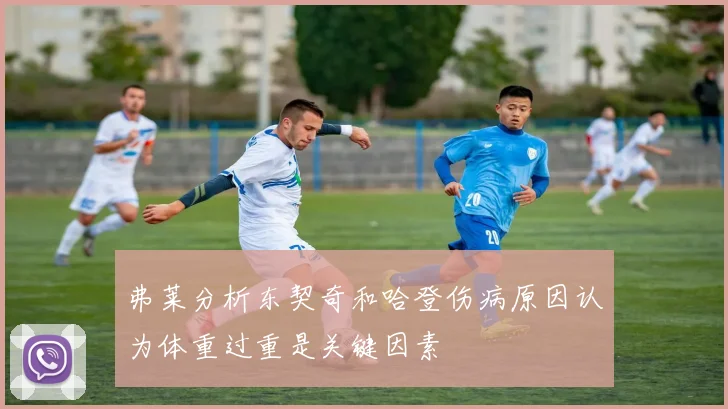 弗莱分析东契奇和哈登伤病原因认为体重过重是关键因素